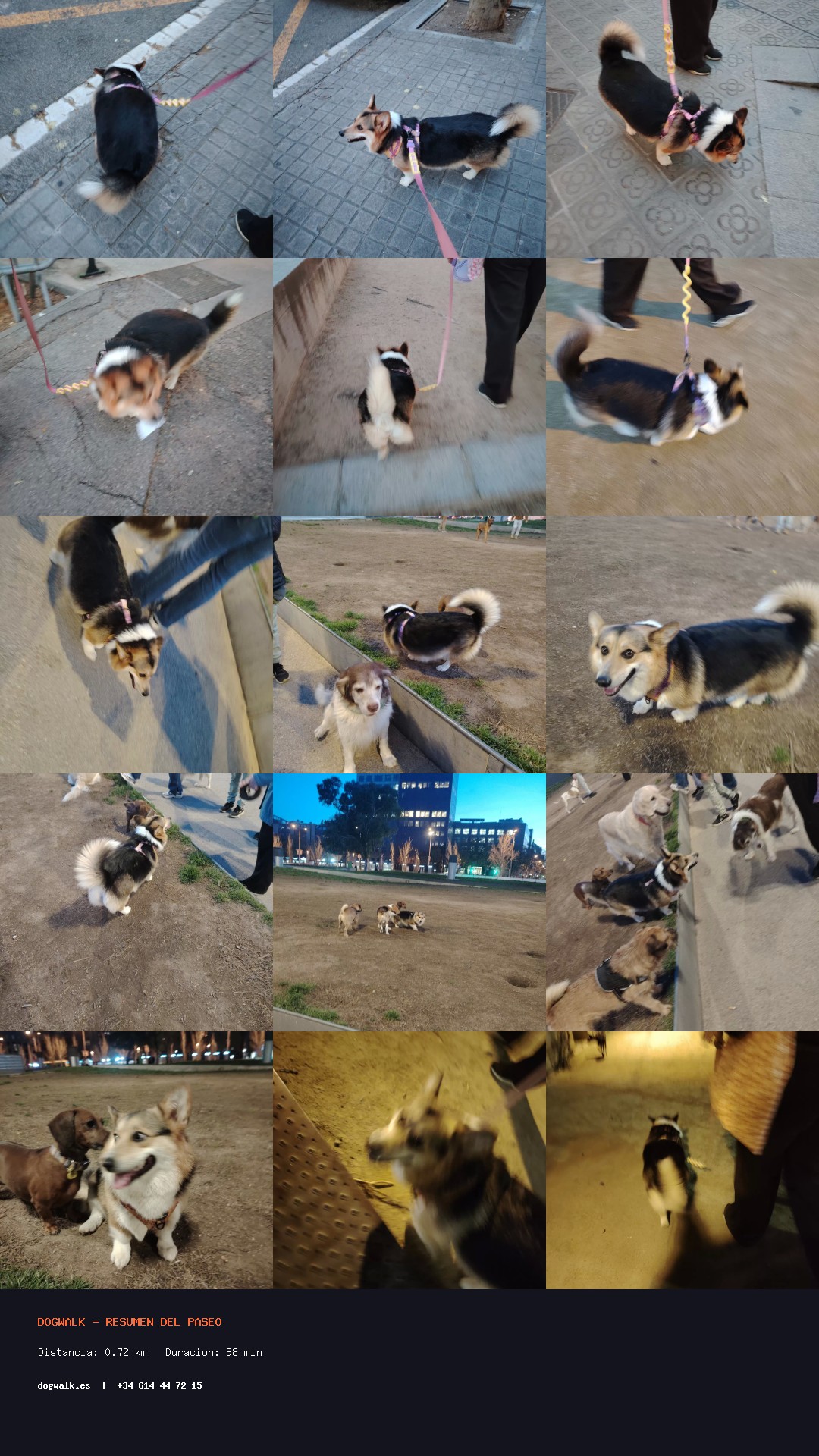 Paseo 13/03/2026